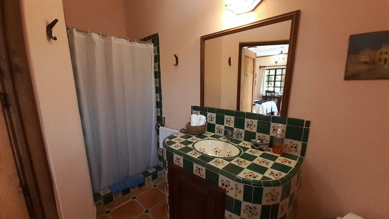 Casa Frida B&B San Miguel de Allende Zewnętrze zdjęcie